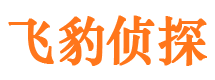 蔚县市私家侦探